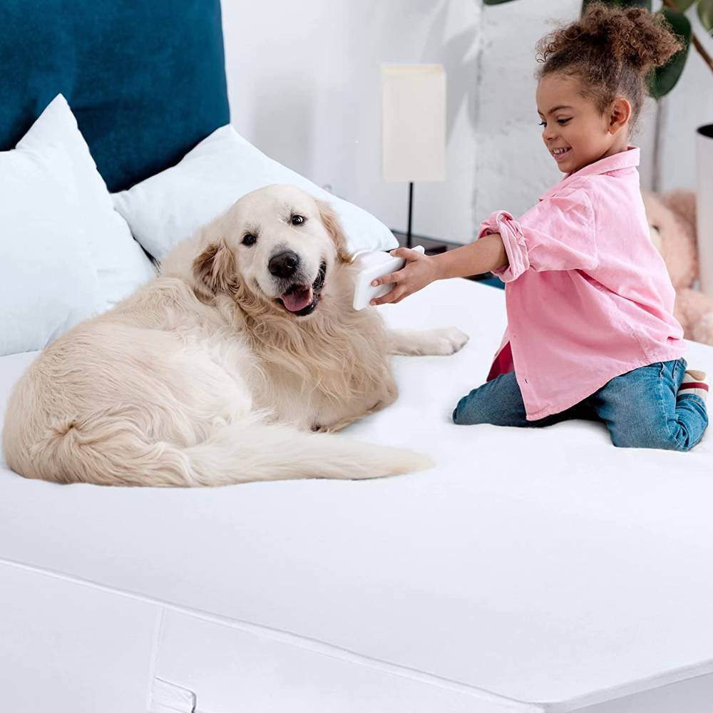Stain Resistant Mattress Protector