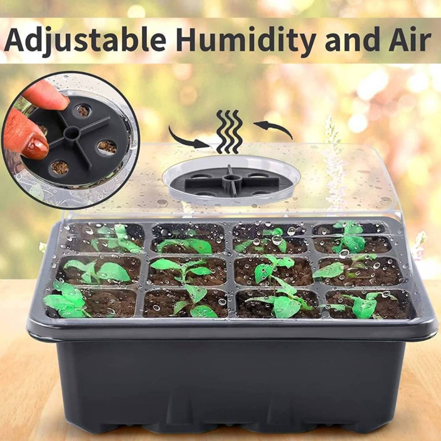 Seedling Germination Trays: image 10