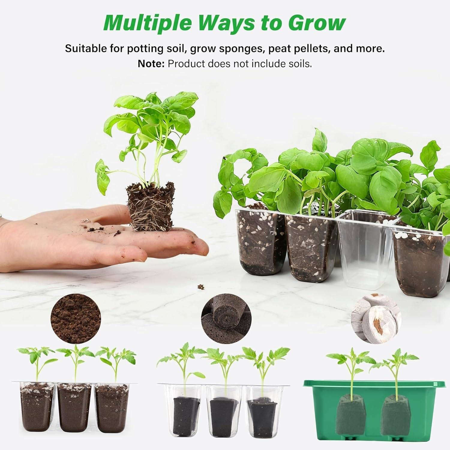 Seedling Germination Trays: image 11