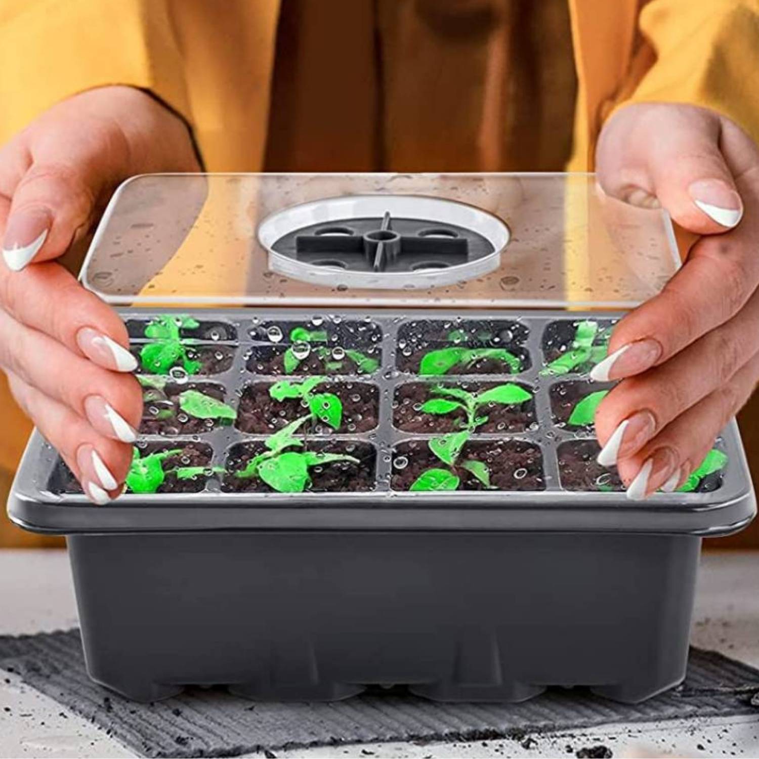 Seedling Germination Trays: image 12